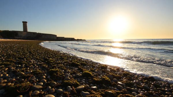 Essential Factors to Consider When Hiring a Biarritz Wedding Photographer